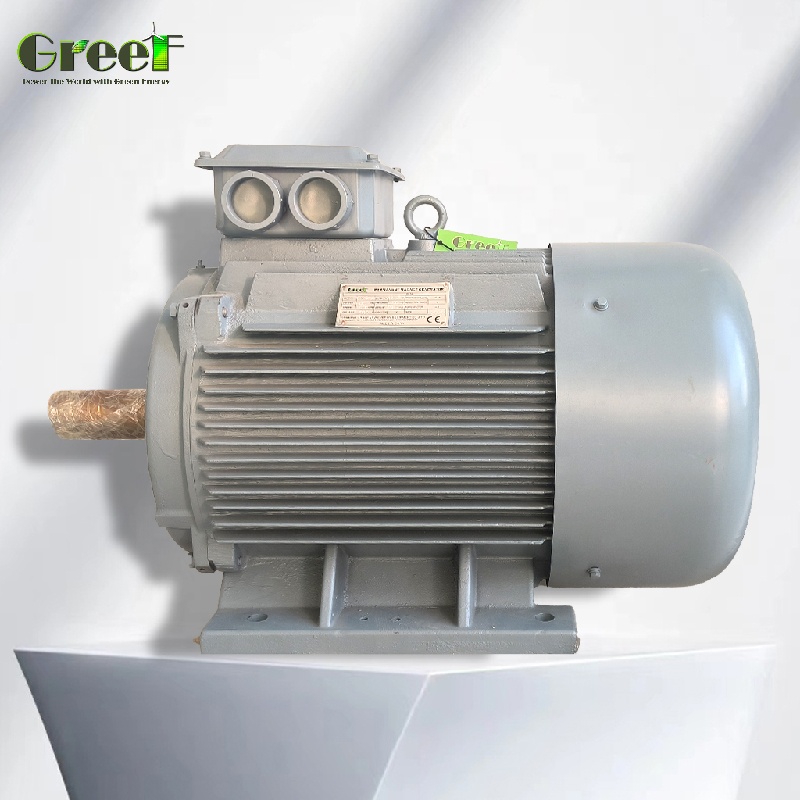 Renewable Energy Hydro - Generatore a Magneti Permanenti a Basso