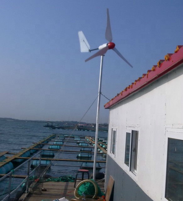 SUPER OFFERTA! Turbina Eolica  - Wind Turbine Generator recensione e prezzo